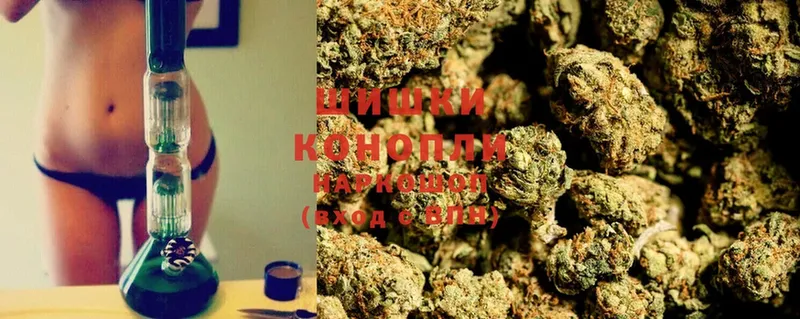 что такое   Ялуторовск  Бошки марихуана White Widow 